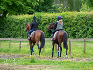 CH290522-42 - Charlie Hills Stable Visit